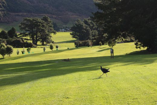 Tee off at no 7